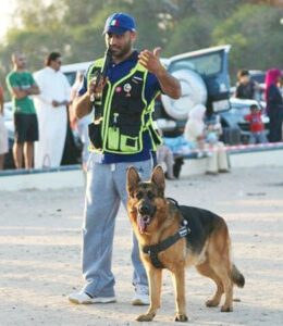أفضل ٤ أماكن إستضافة الكلاب في الكويت