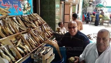 محلات بيع الفسيخ في القاهرة